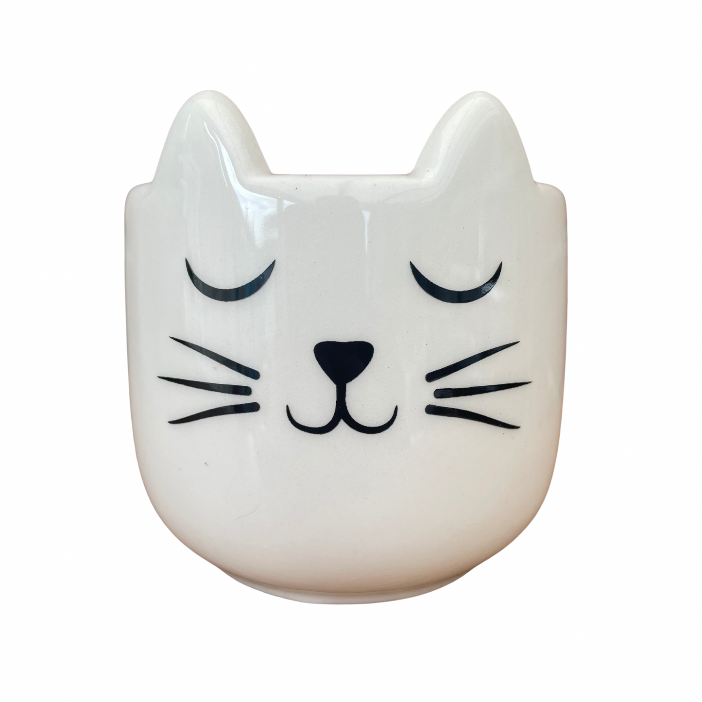 Cat's Whiskers Mini Plant Pot