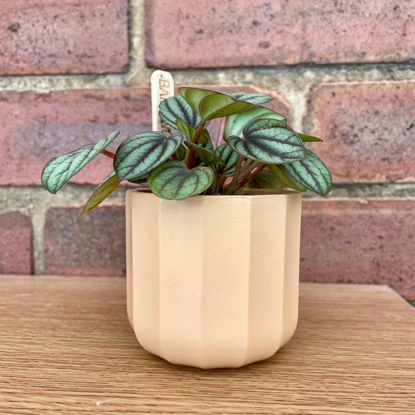 Geometric Peach Mini Plant Pot-7cm
