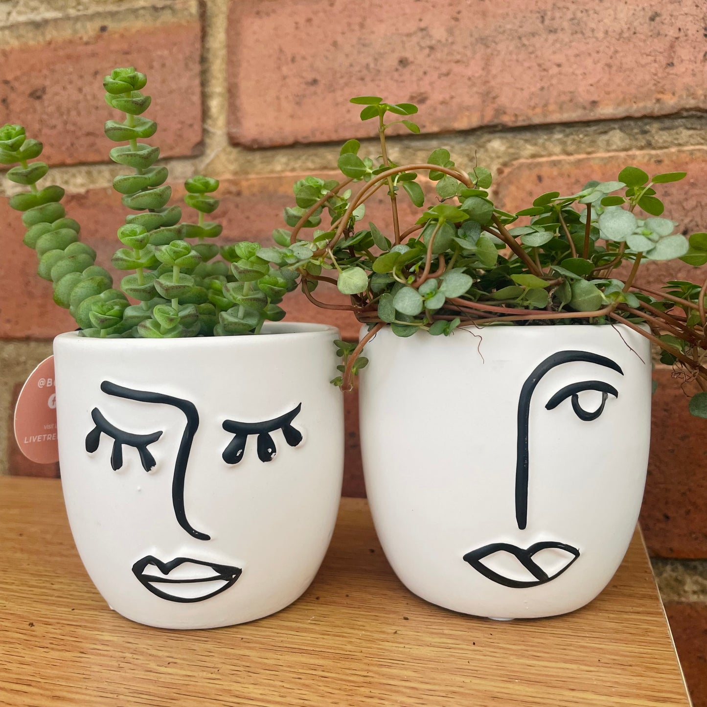 Abstract Ceramic Face Plant Pot- 7cm