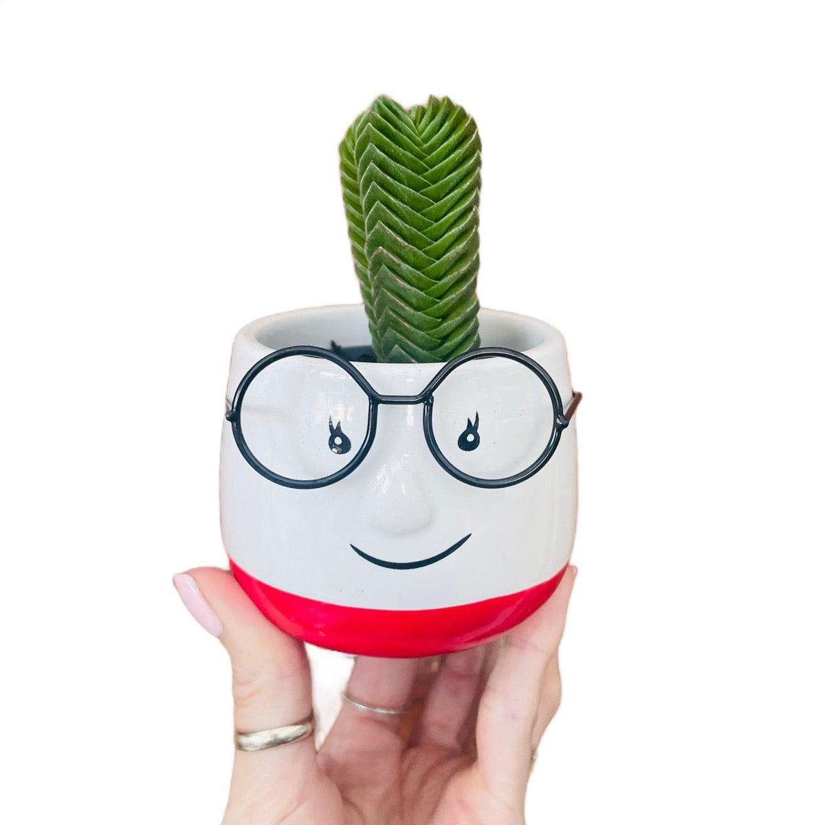 Mini Ceramic Walter Plant Pot-Red