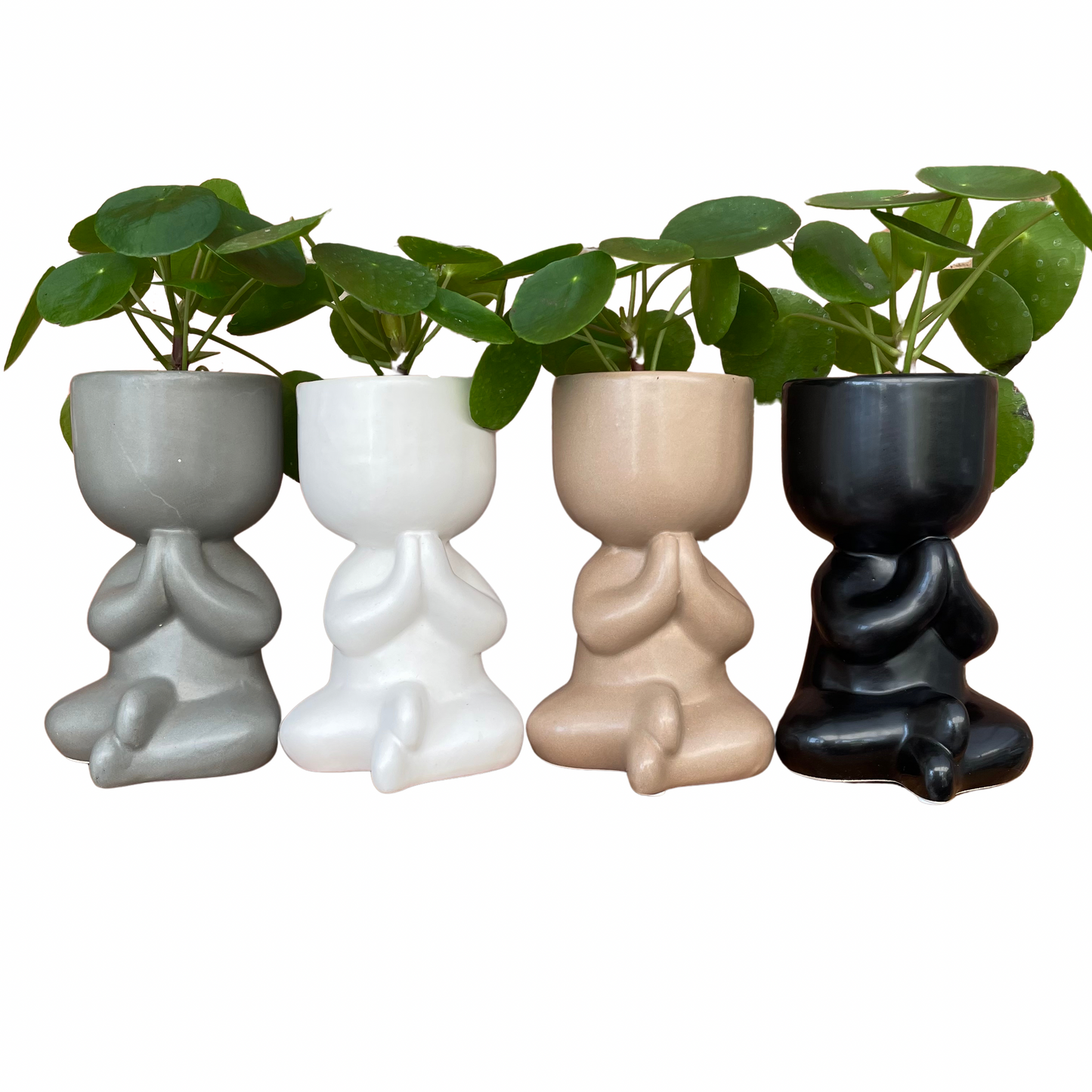 Chinese Money Plant & Yoga Pose Mini Indoor Plant Pots