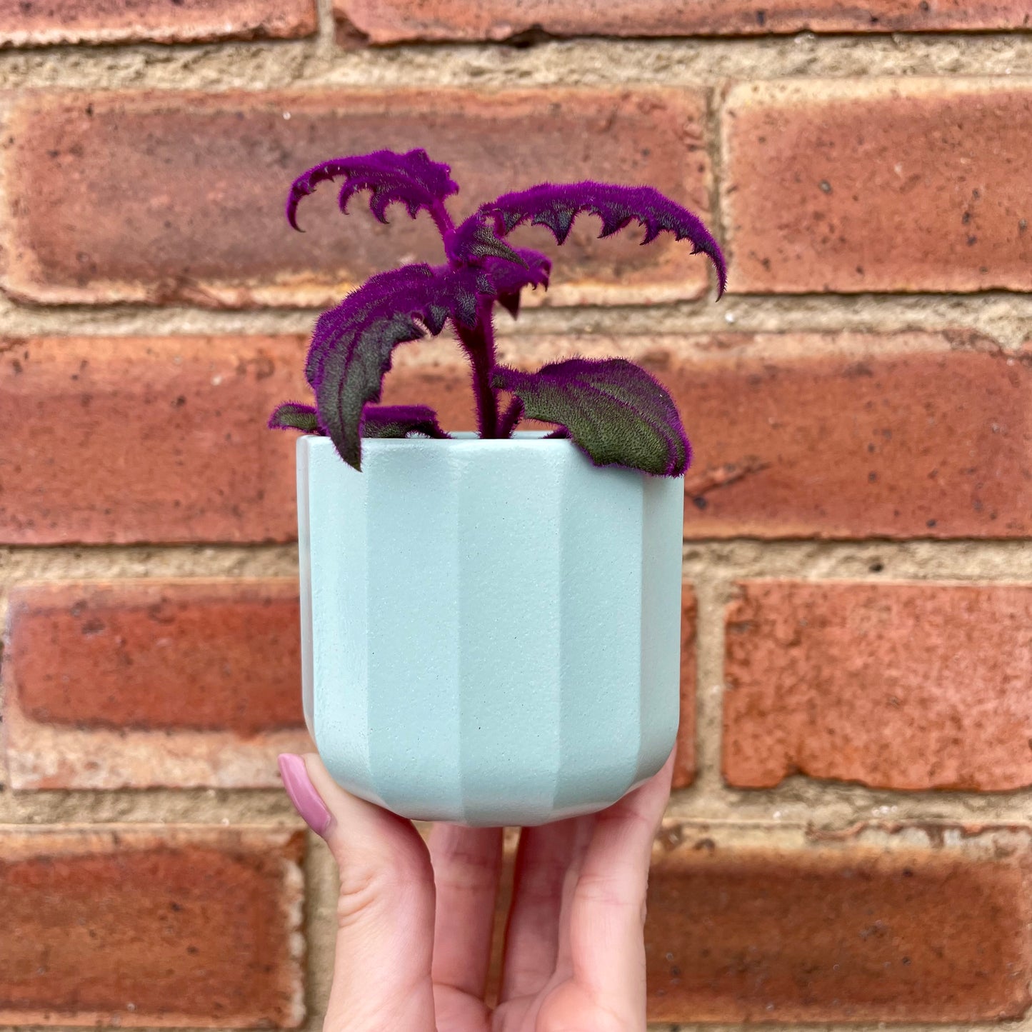Geometric Mint Mini Plant Pot-7cm
