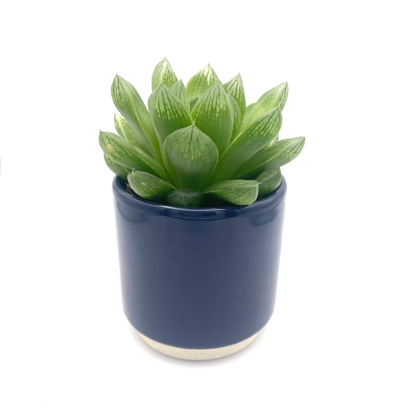 Navy Ceramic Mini Plant Pot-7cm