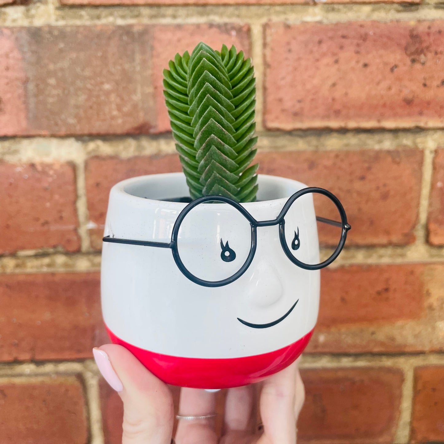 Mini Ceramic Walter Plant Pot-Red