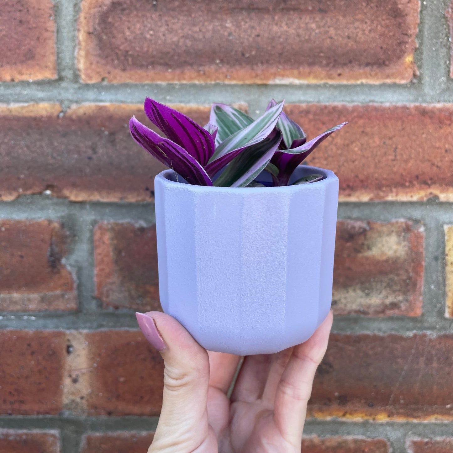 Geometric Lilac Mini Plant Pot-7cm