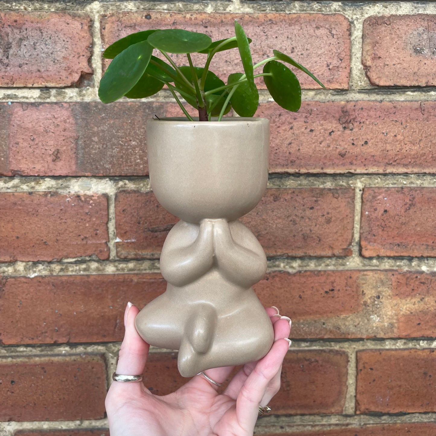 Chinese Money Plant & Yoga Pose Mini Indoor Plant Pots