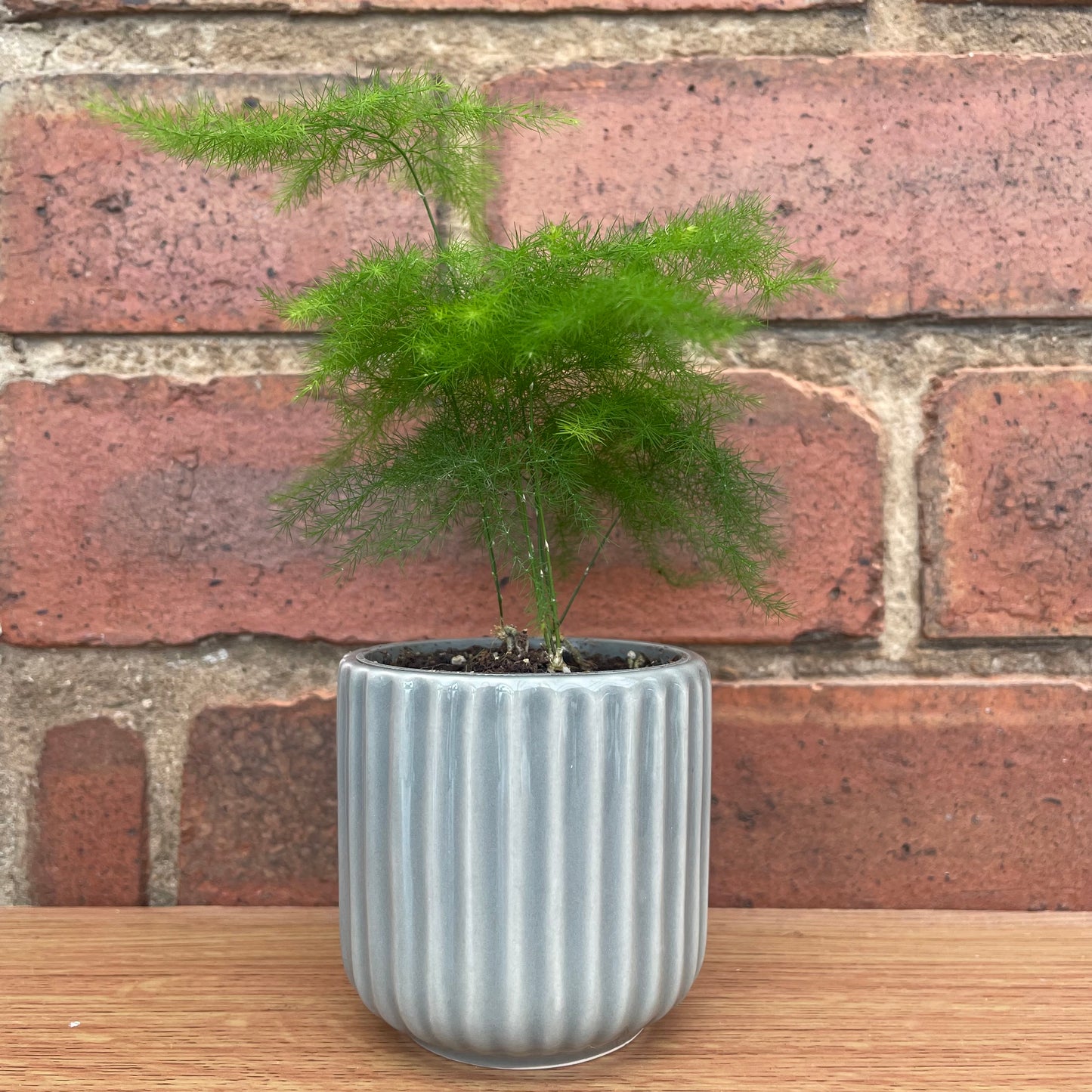 Ridged Design Grey Mini Plant Pot-7cm