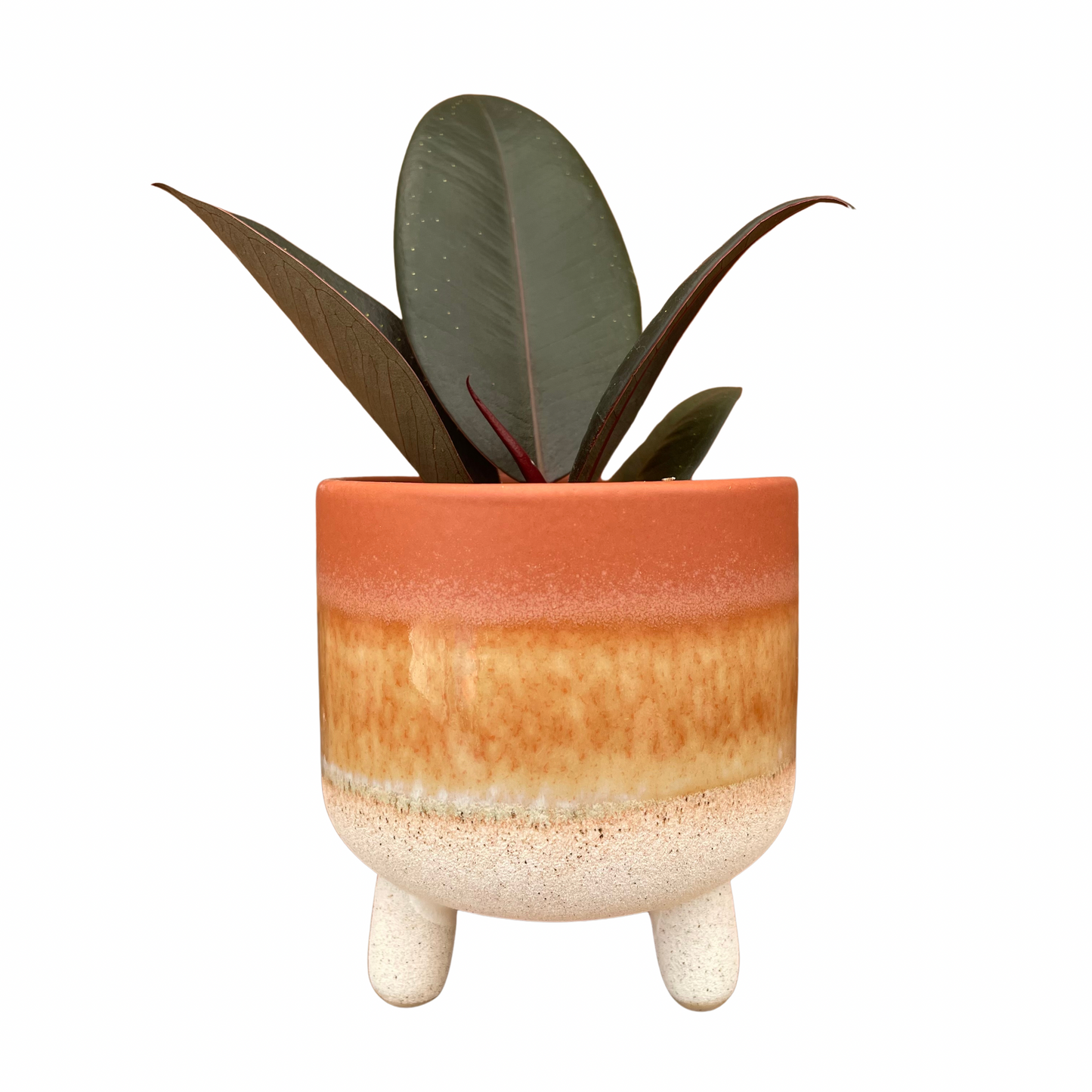 Terracotta Leg Mini Plant Pot