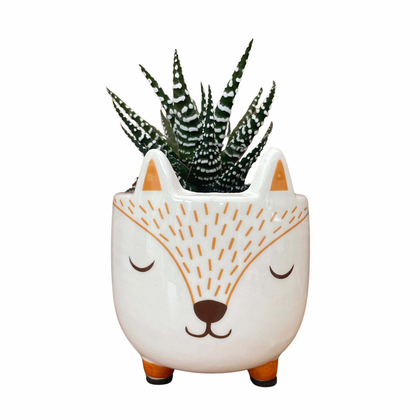 Woodland Fox Mini Plant Pot