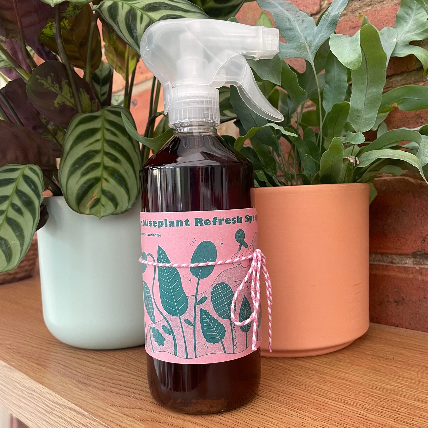 Plant Care Bundle