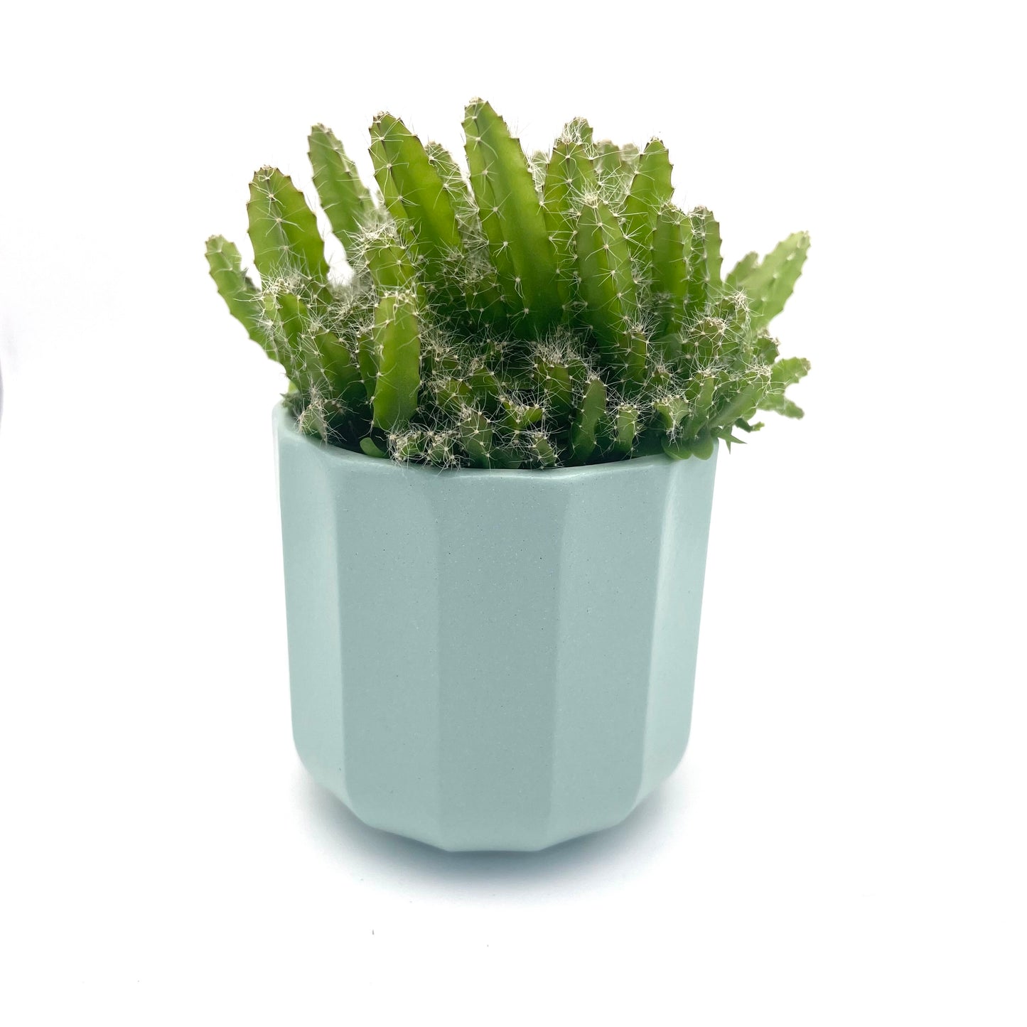 Geometric Mint Mini Plant Pot-7cm