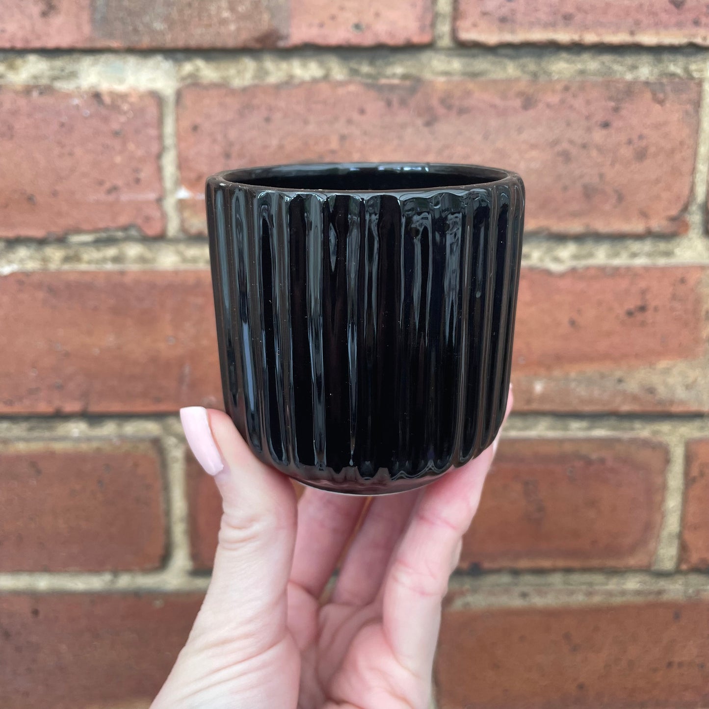 Ridged Design Black Mini Plant Pot-7cm