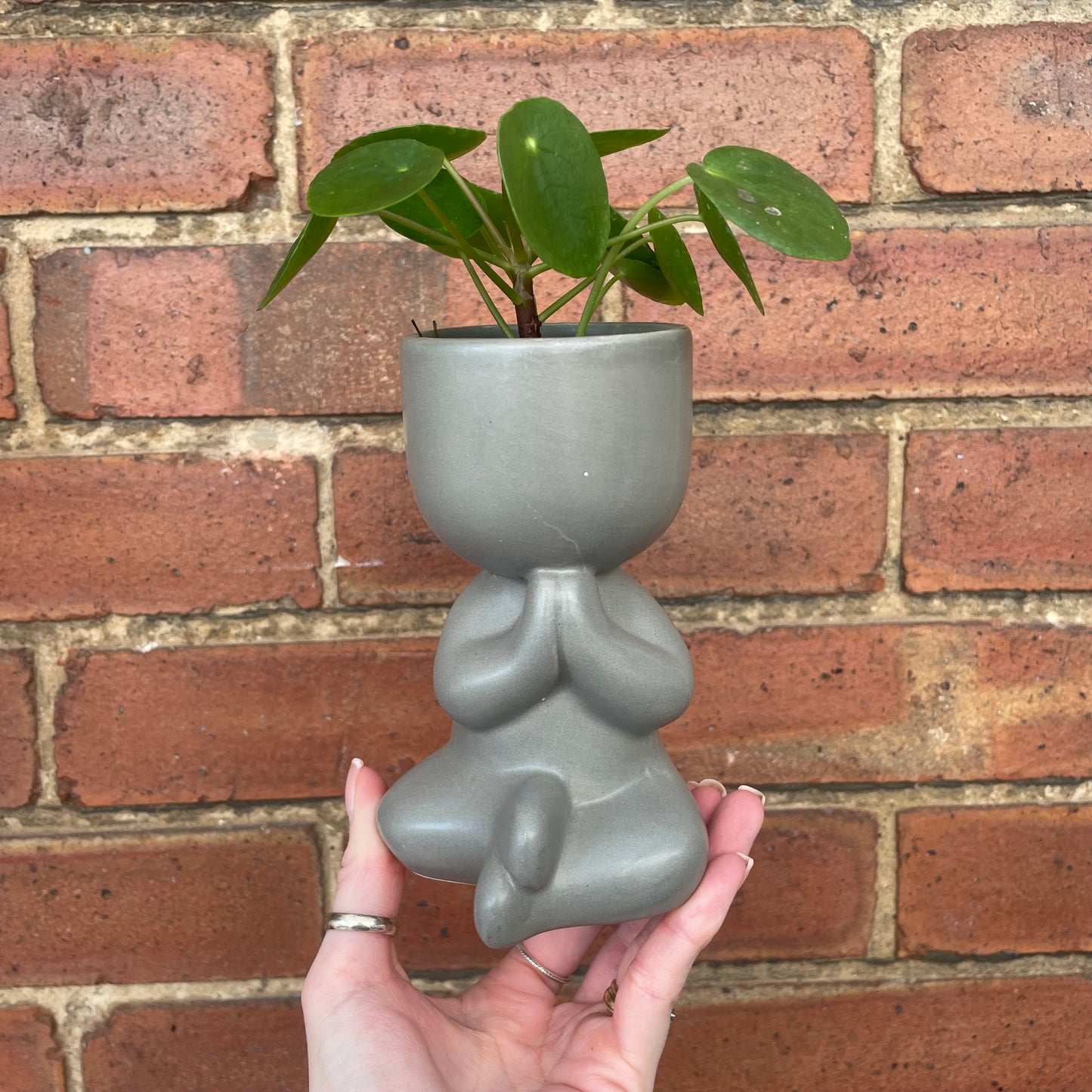 Chinese Money Plant & Yoga Pose Mini Indoor Plant Pots