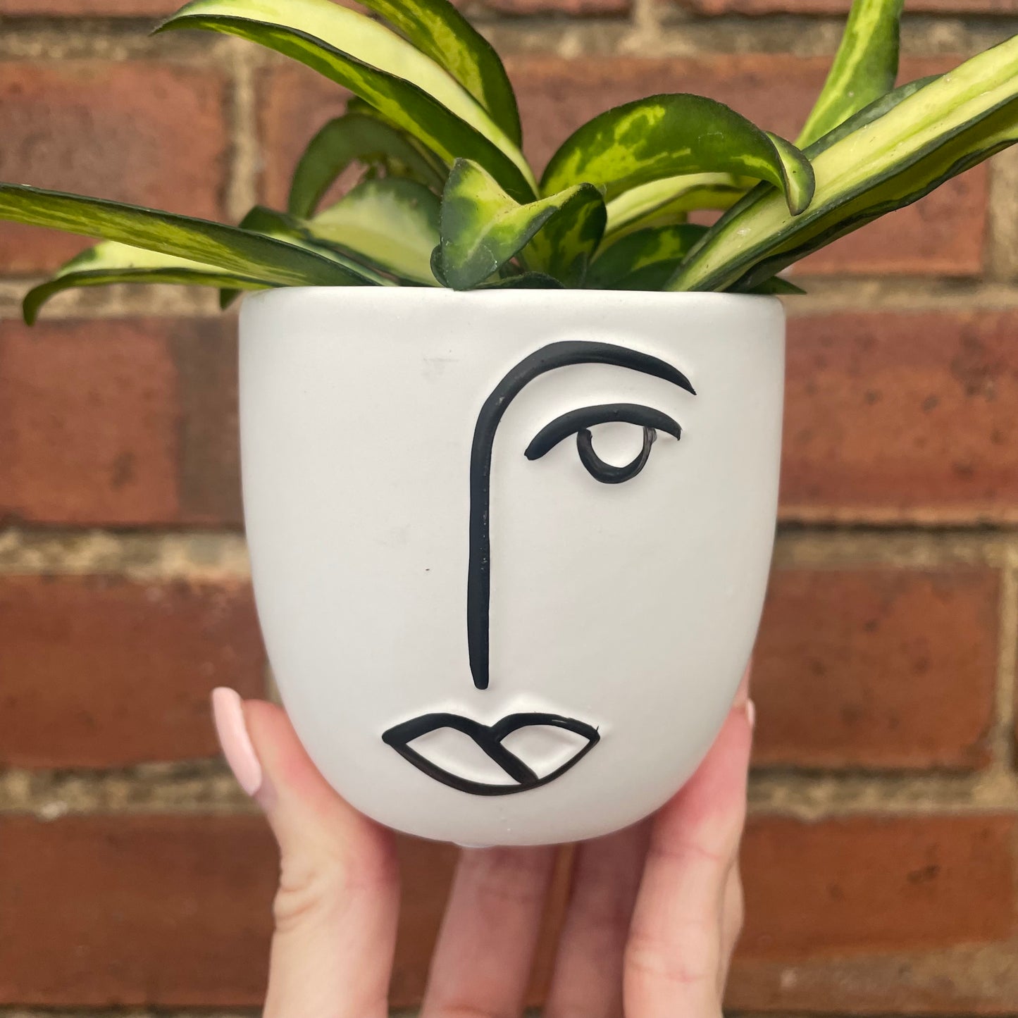 Abstract Ceramic Face Plant Pot- 7cm