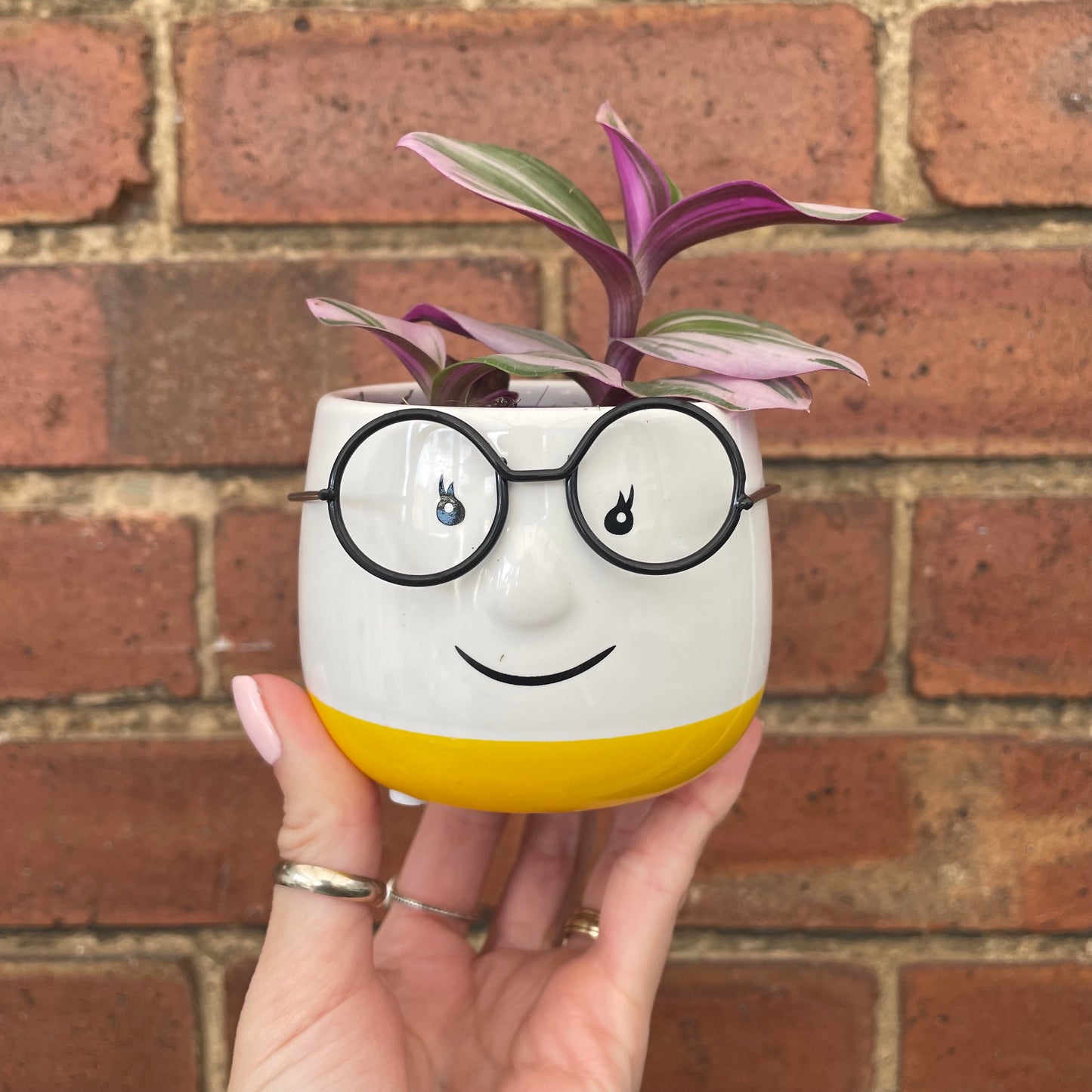 Mini Ceramic Walter Plant Pot-Yellow