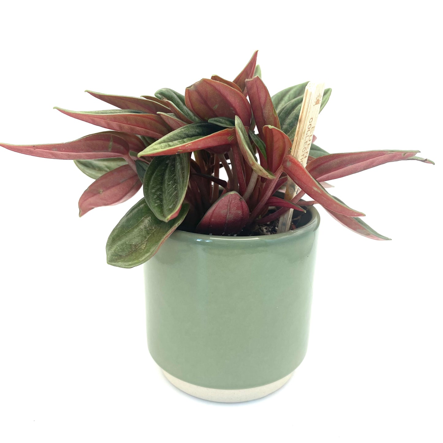Green Ceramic Mini Plant Pot-7cm