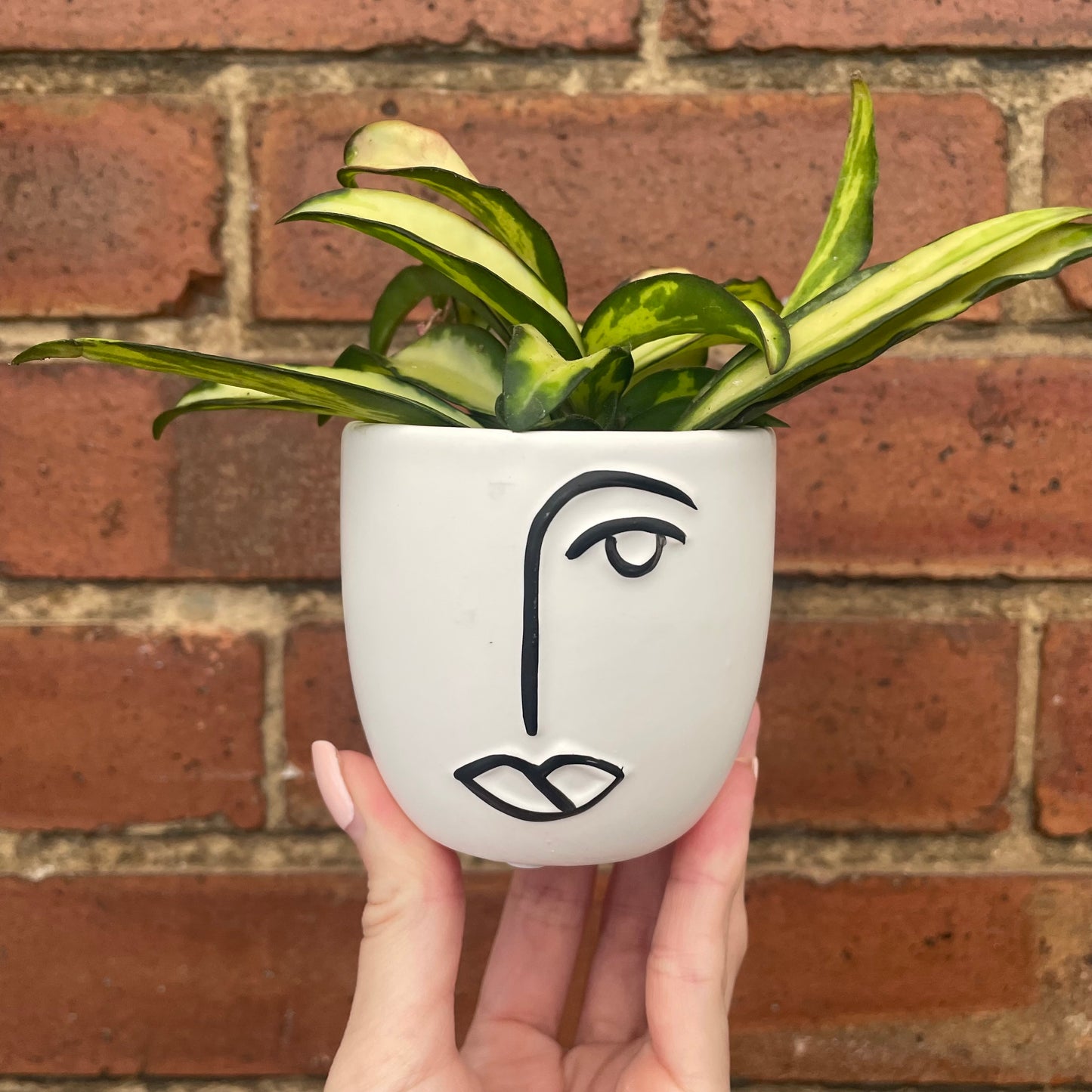 Abstract Ceramic Face Plant Pot- 7cm