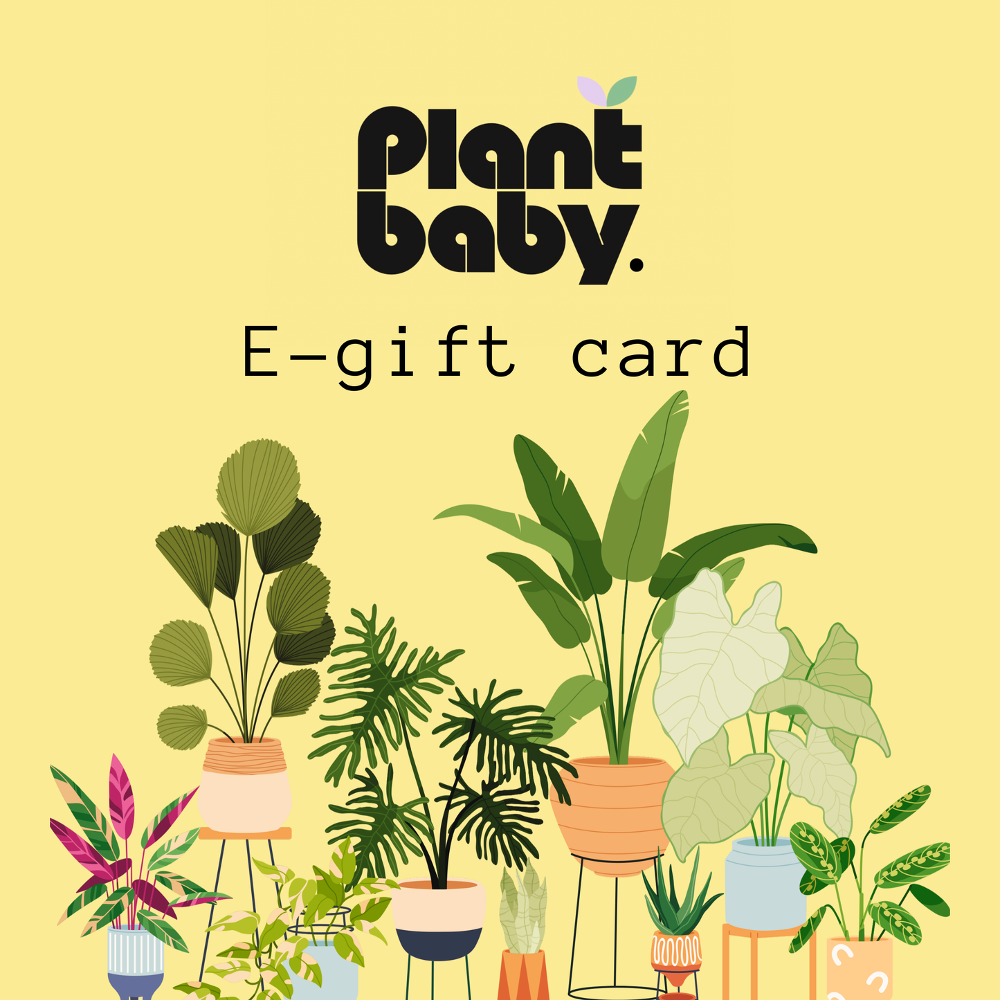 Plant Baby E-Gift Card
