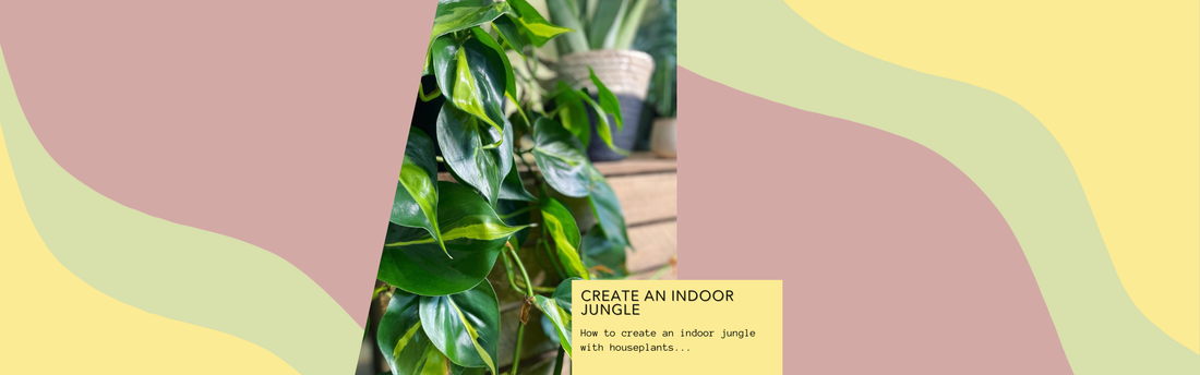 How to Create an Indoor Jungle with Houseplants: A Step-by-Step Guide