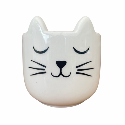 Cat's Whiskers Mini Plant Pot