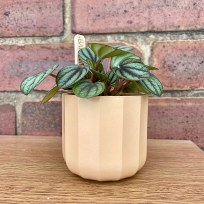 Geometric Peach Mini Plant Pot-7cm