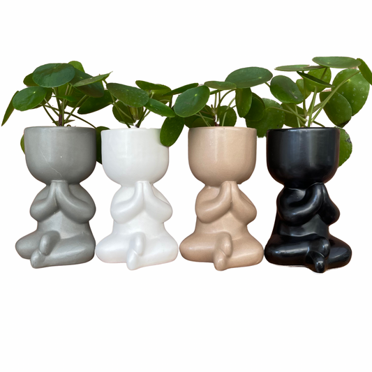 Chinese Money Plant & Yoga Pose Mini Indoor Plant Pots