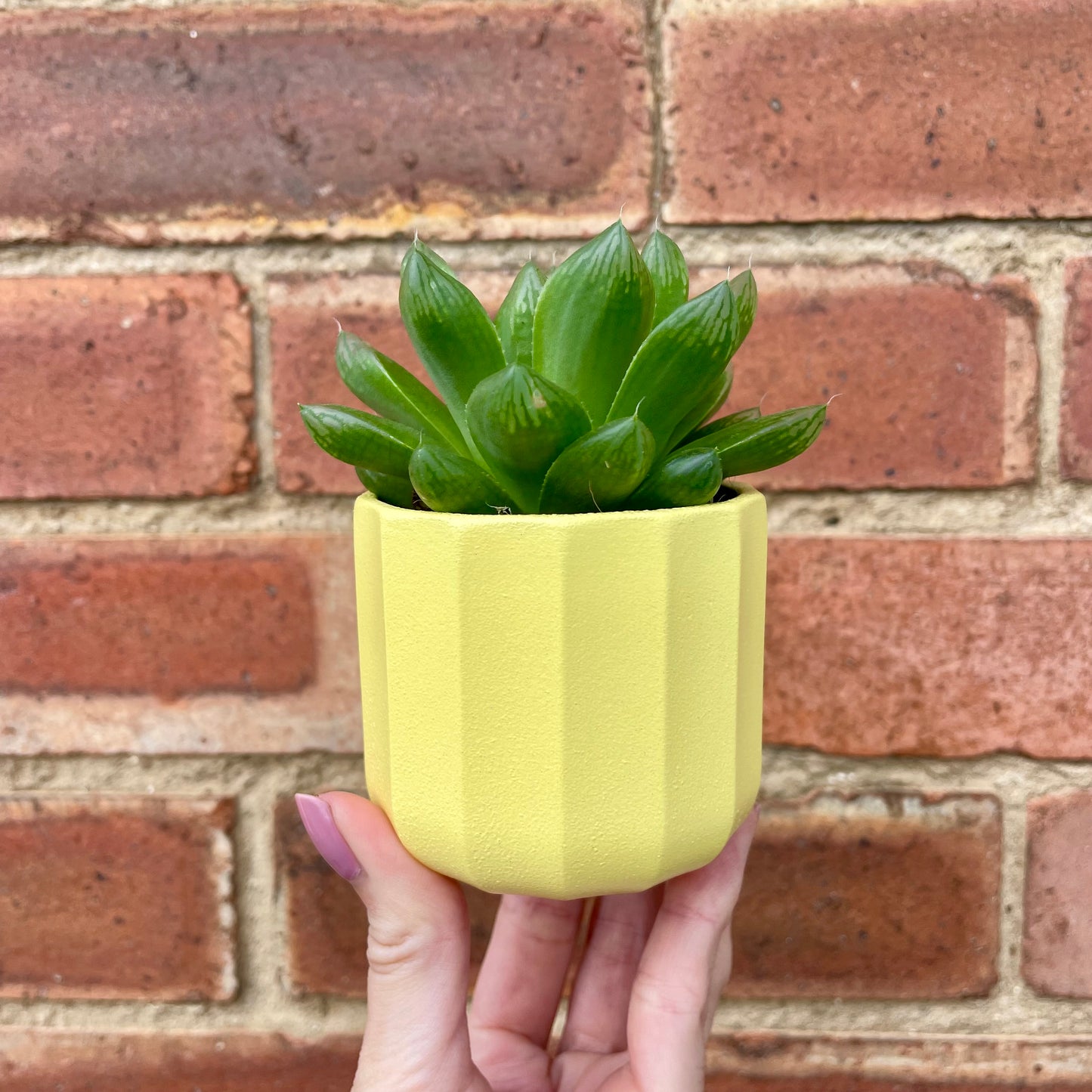 Geometric Yellow Mini Plant Pot-7cm