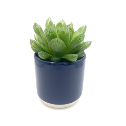 Navy Ceramic Mini Plant Pot-7cm