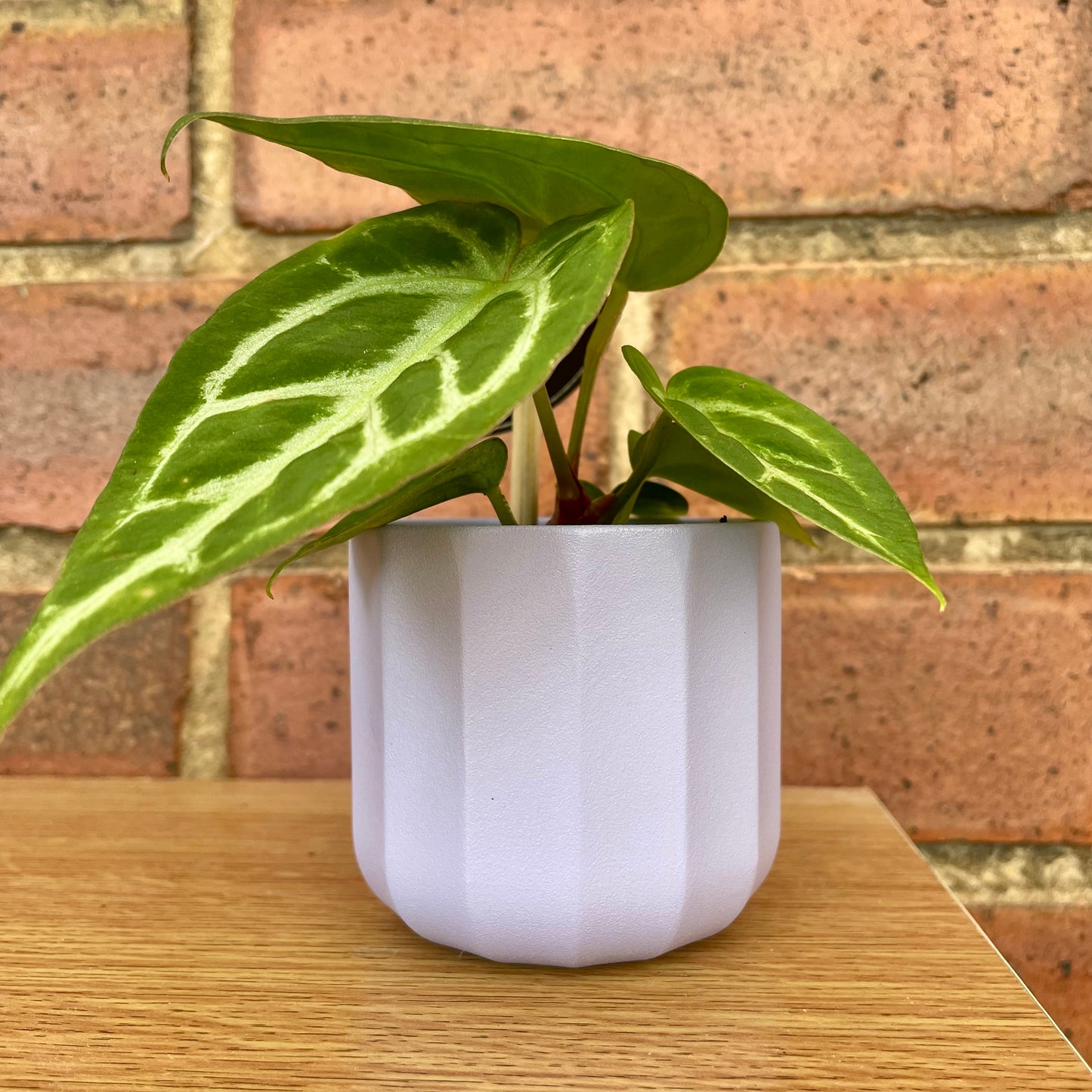 Geometric Lilac Mini Plant Pot-7cm