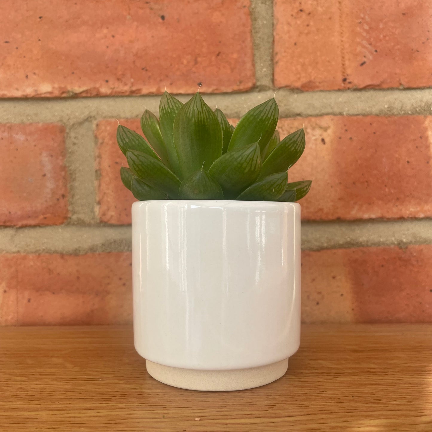 White Ceramic Mini Plant Pot-7cm