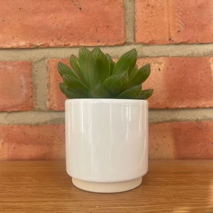 White Ceramic Mini Plant Pot-7cm