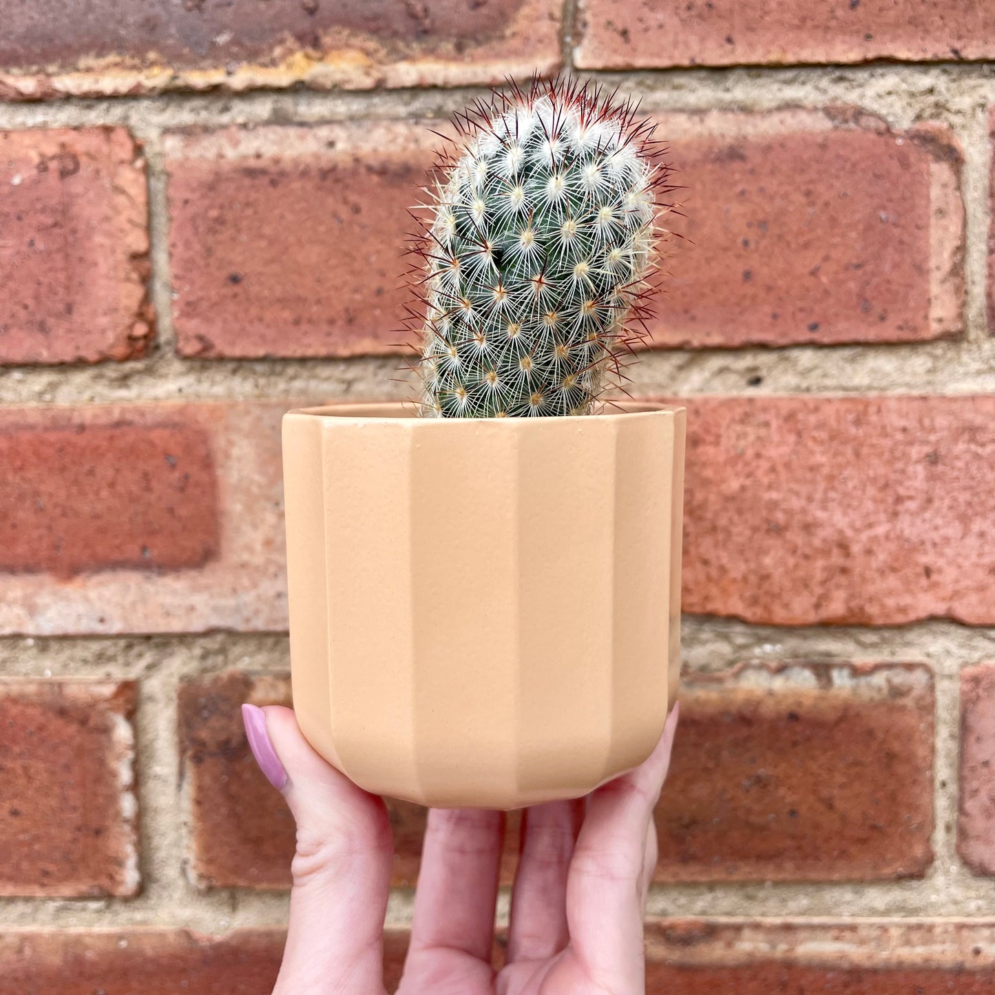 Geometric Peach Mini Plant Pot-7cm