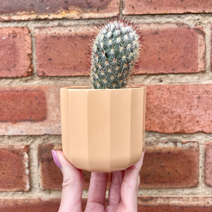 Geometric Peach Mini Plant Pot-7cm