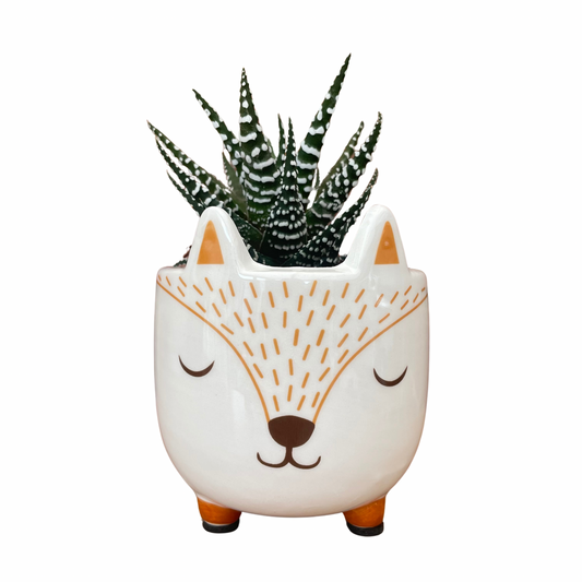 Woodland Fox Mini Plant Pot