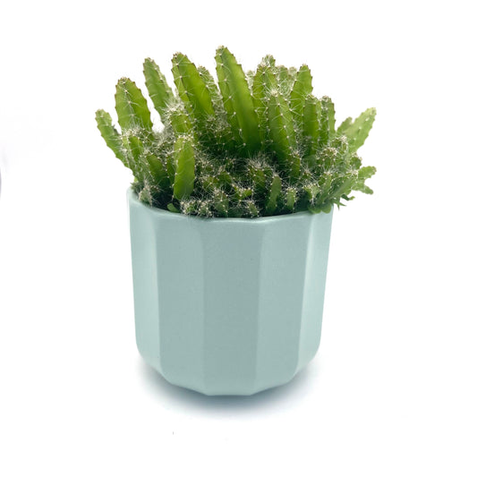 Geometric Mint Mini Plant Pot-7cm