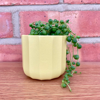 Geometric Yellow Mini Plant Pot-7cm