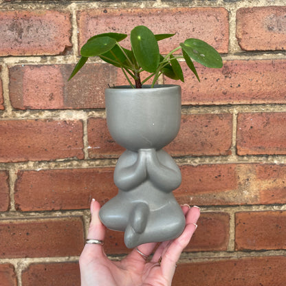 Chinese Money Plant & Yoga Pose Mini Indoor Plant Pots