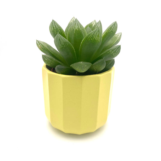 Geometric Yellow Mini Plant Pot-7cm