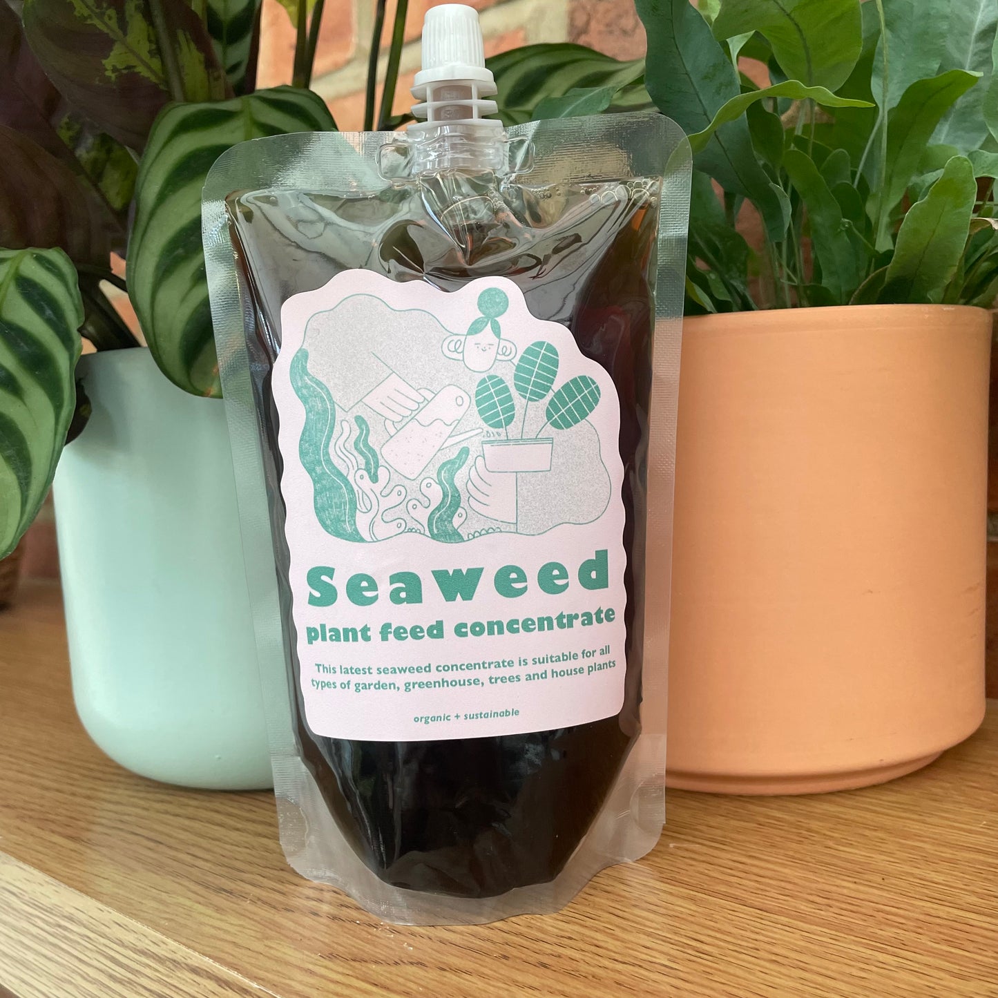 Plant Care Bundle