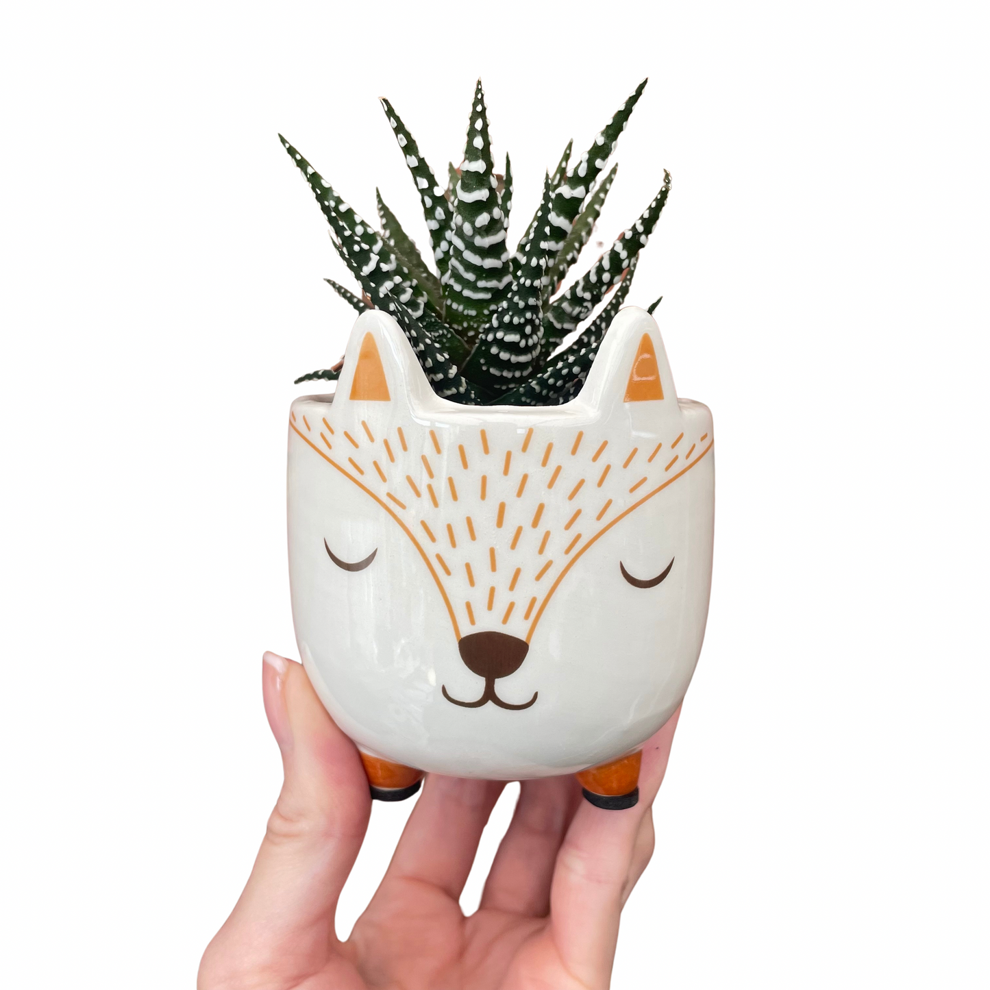 Woodland Fox Mini Plant Pot