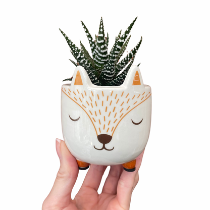 Woodland Fox Mini Plant Pot