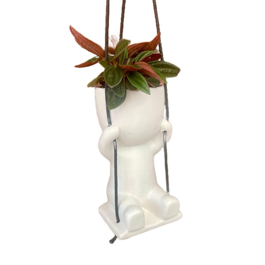 Swinging Mini Indoor Plant Pot