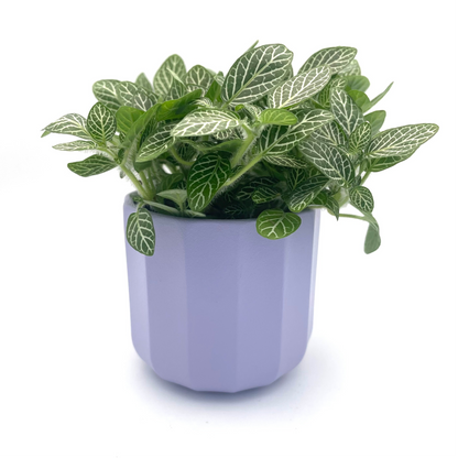 Geometric Lilac Mini Plant Pot-7cm