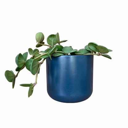 Navy Lisbon Ceramic Indoor Plant Pot 13.5cm